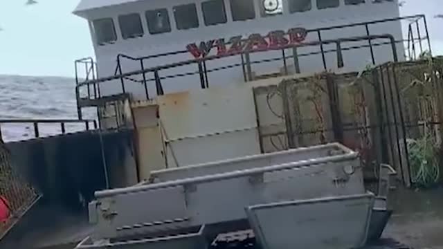 A pesca estava um fracasso, até que... 🐟#PescaMortal