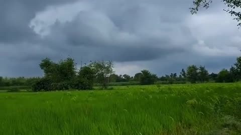 Beauty of punjab