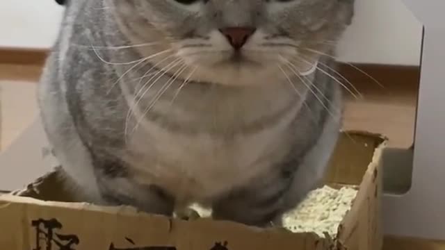 What is this operation
