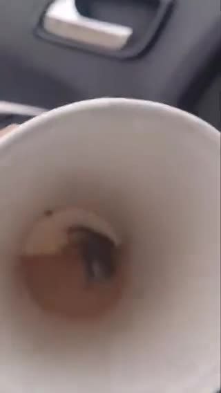 Una mujer se encuentra un ratón muerto dentro de su café de McDonald’s.