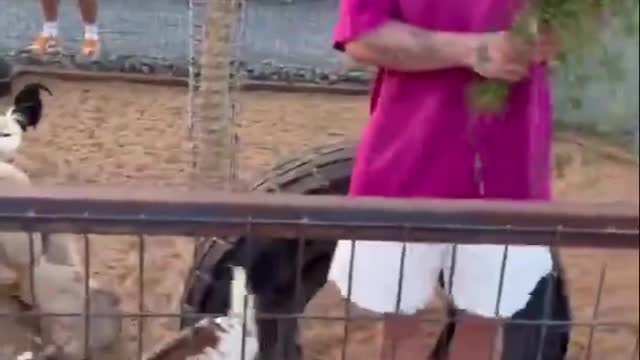 Jake Paul in Dubai meeting with Andrew tate for the first time and talks bout boxing match