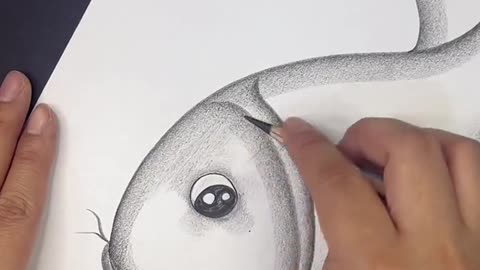 Draw A Fish