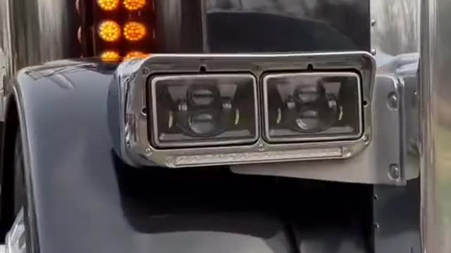 Show you Peter Bilt.