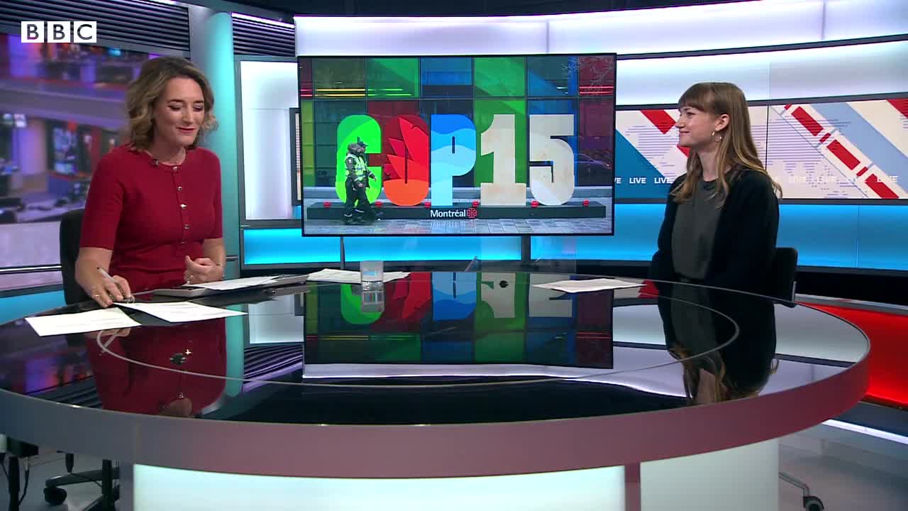 UN biodiversity summit COP15 reaches ‘historic’ deal to protect nature – BBC News