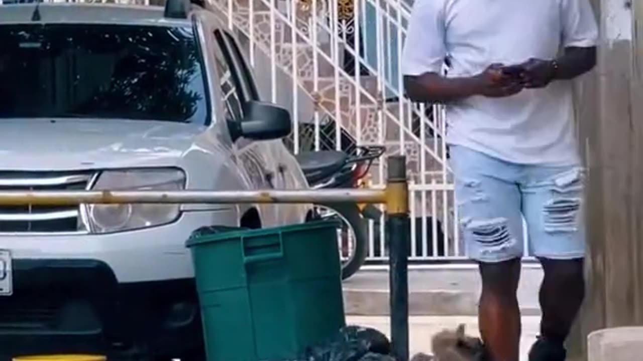 Prank