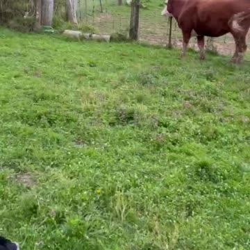 Wendy Sue 04/15/2022