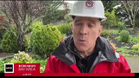 Arborist tells homeowners what signs of tree failure they should look for during storms