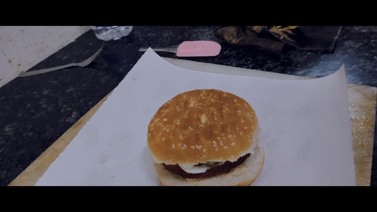 The burger made by me