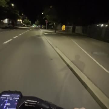 Vienna Street Hookers (Straßenstrich) 2024 - Brünner Straße & Perfektastraße - Clip 2