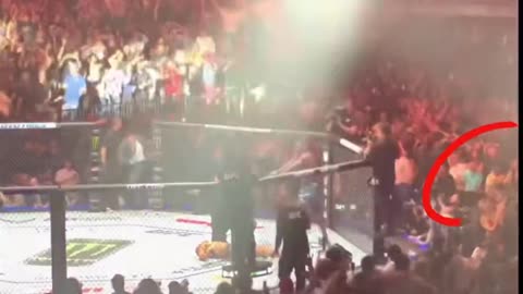 Alex Pereira son’s reaction to Israel Adesanya knocking out his dad then pointing at him