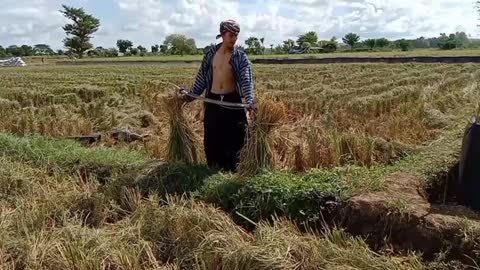 YOUNG FARMER #1 (work hard for wife son)