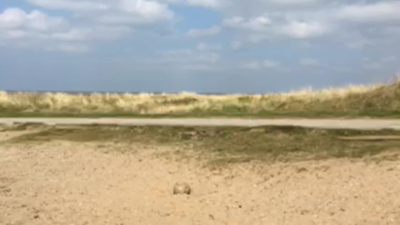 I HOPE AND PRAY THAT THE EXECUTIONS HAVE NOT BEEN DONE IN PRIVATE