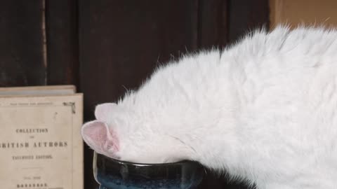 Wow Iam So Hungry