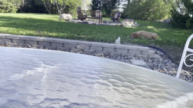 Freedom as a believer