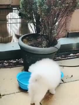 iq6jQKQLdHKEXCAmP79xR8