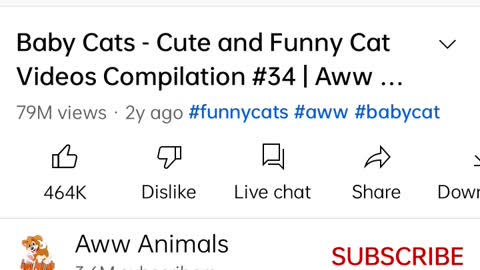 Funny cate