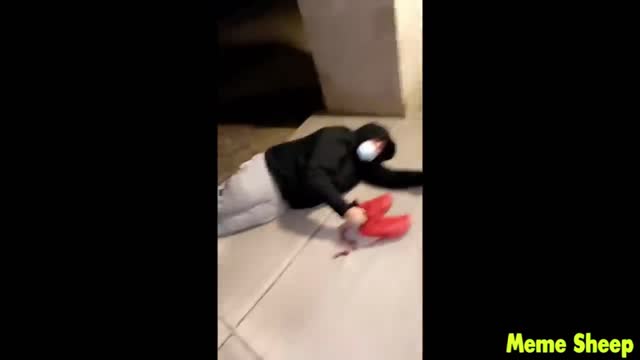 Funny Collection 2