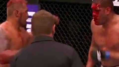 UFC - BLOOD BATH - Mark hunt VS Big Foot Finals