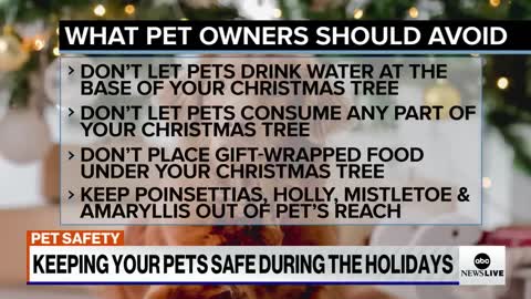 KEEPING YOUR PETS SAFE DURING THE HOLIDAYS
