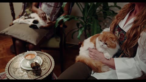 Test Video - Life of a Rich Cat Lady