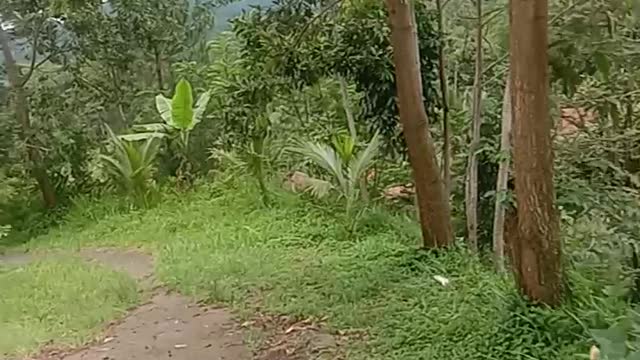 Petualangan