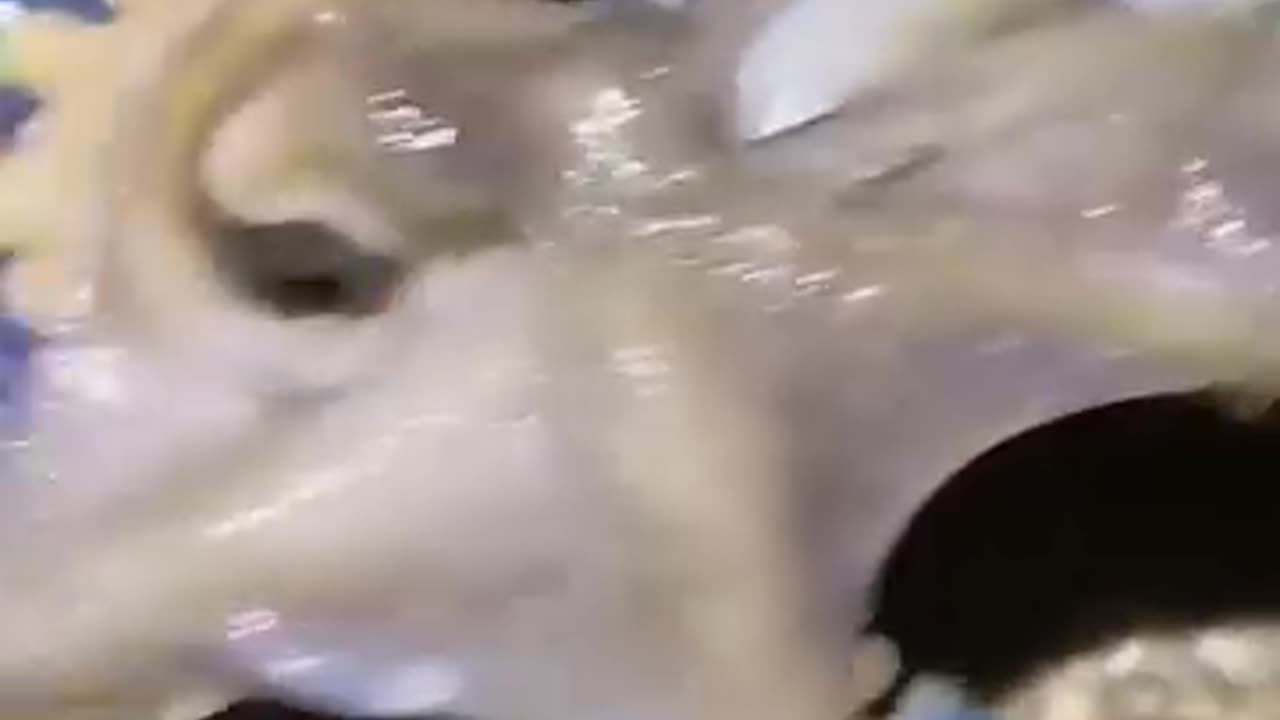 Follow up if you laugh -1