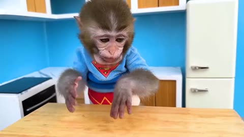 Cute Monkey Baby Activities | Funny and Cute Animals | Funny and Cute Creature