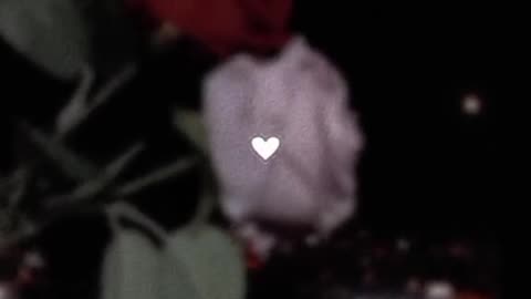 🤗🌸💫