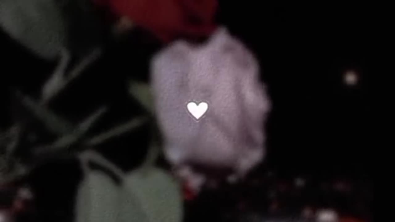 🤗🌸💫