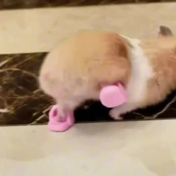 When you finally bought your first pair of crocs