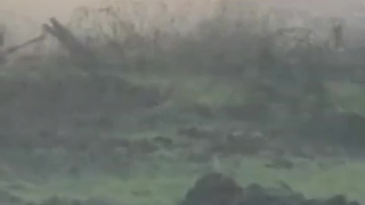 The best movie of war 2