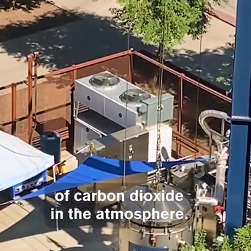 Their Depopulation Plan to Reduce the Food Supply through Carbon Starvation