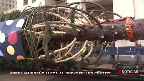 El árbol de Navidad llega al Rockefeller Center en Nueva York #Shorts | Noticias Telemundo