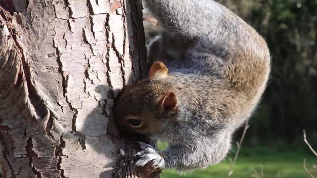 hungry