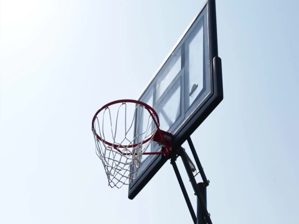 Basketball Net
