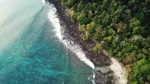 Beach ocean drone jungle