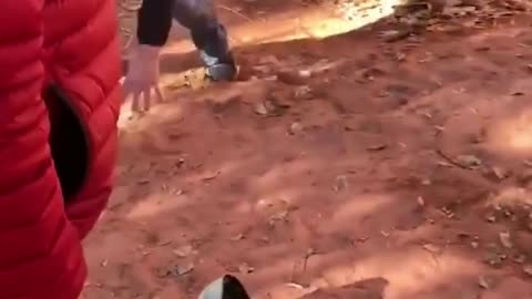 The End 😂😂😂 #viral #shorts #reels #funny #fails