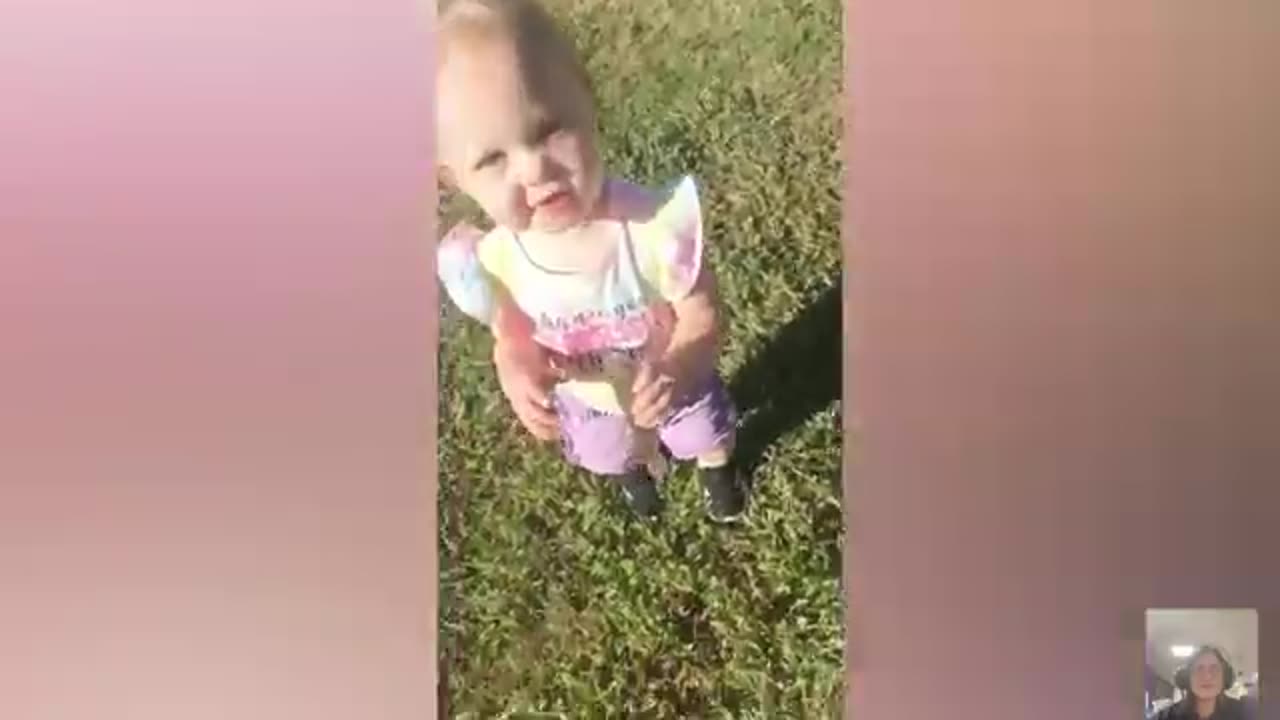 funny videos