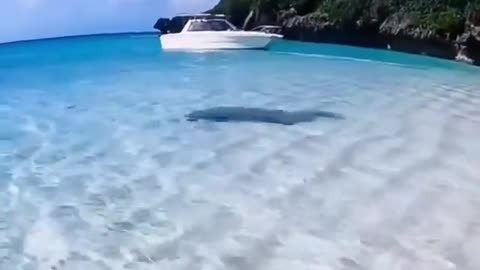 Clear Waters Of Maldives