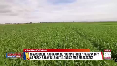 NFA Council, nagtaka ng 'buying price' para sa dry at fresh palay bilang tulong sa mga magsasaka