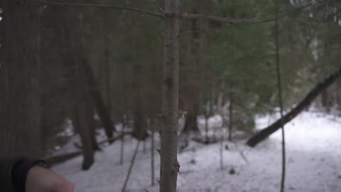 Improved Clove Hitch Knot (How to & Why)