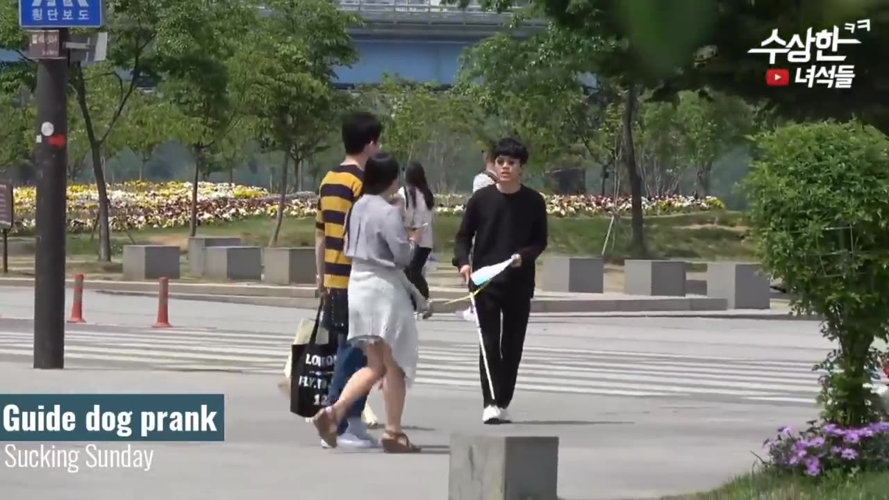 korean prank