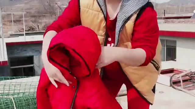 Best Funny videos 2023