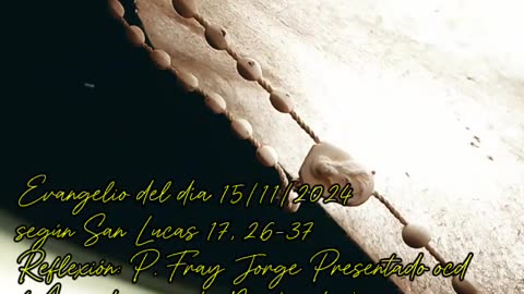 Evangelio del día 15/11/2024 según San Lucas 17, 26-37 - P. Fray Jorge Presentado ocd