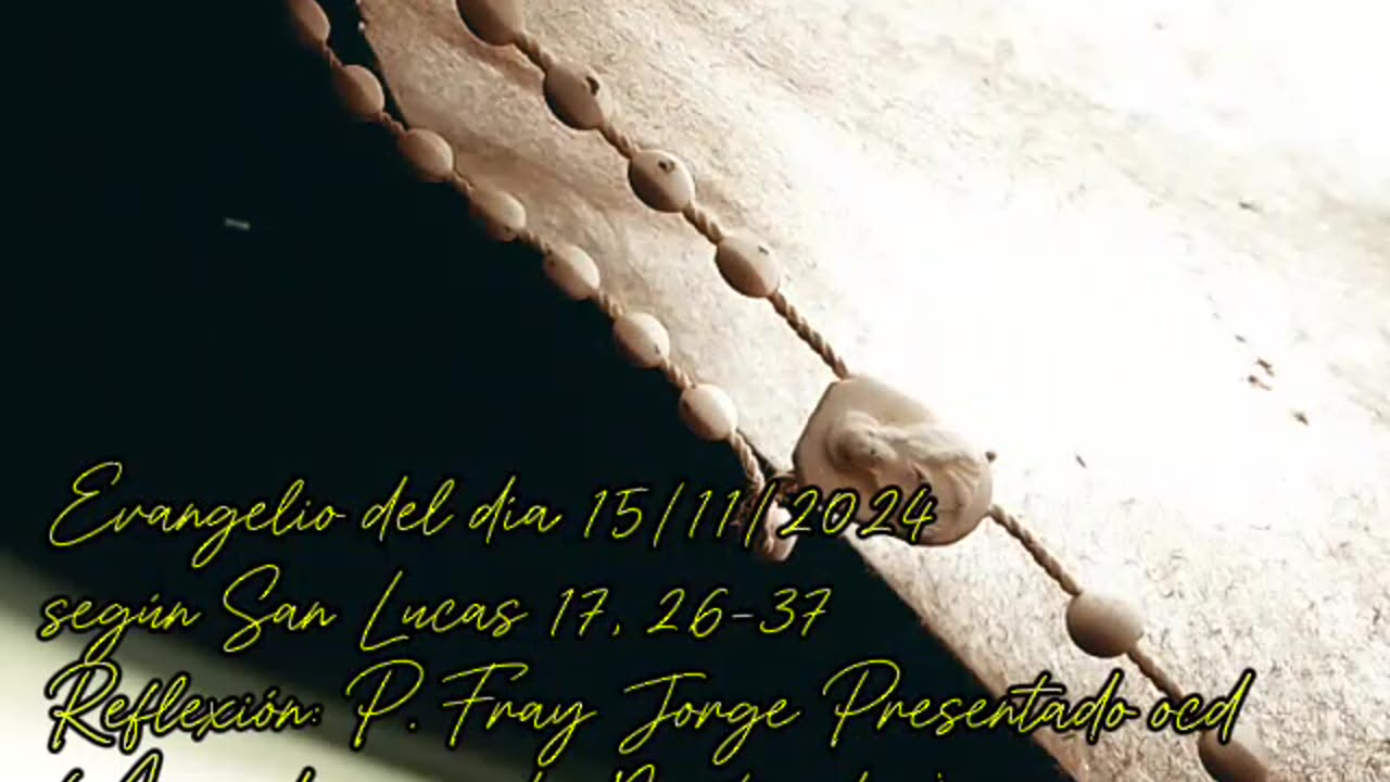 Evangelio del día 15/11/2024 según San Lucas 17, 26-37 - P. Fray Jorge Presentado ocd