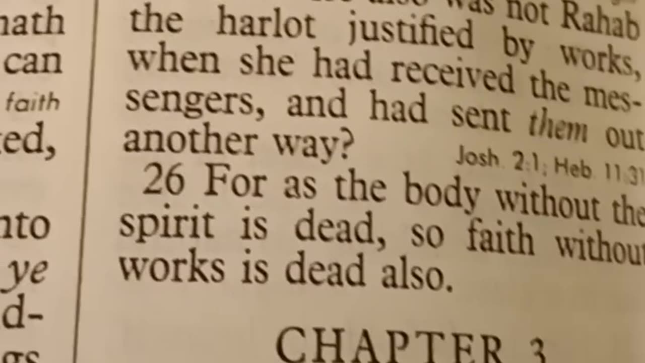 Descent into madness. This is wheelchair 👩‍🦽chat moments part 18