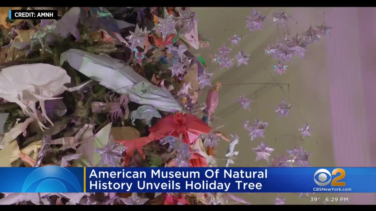 American Museum of Natural History unveils holiday tree