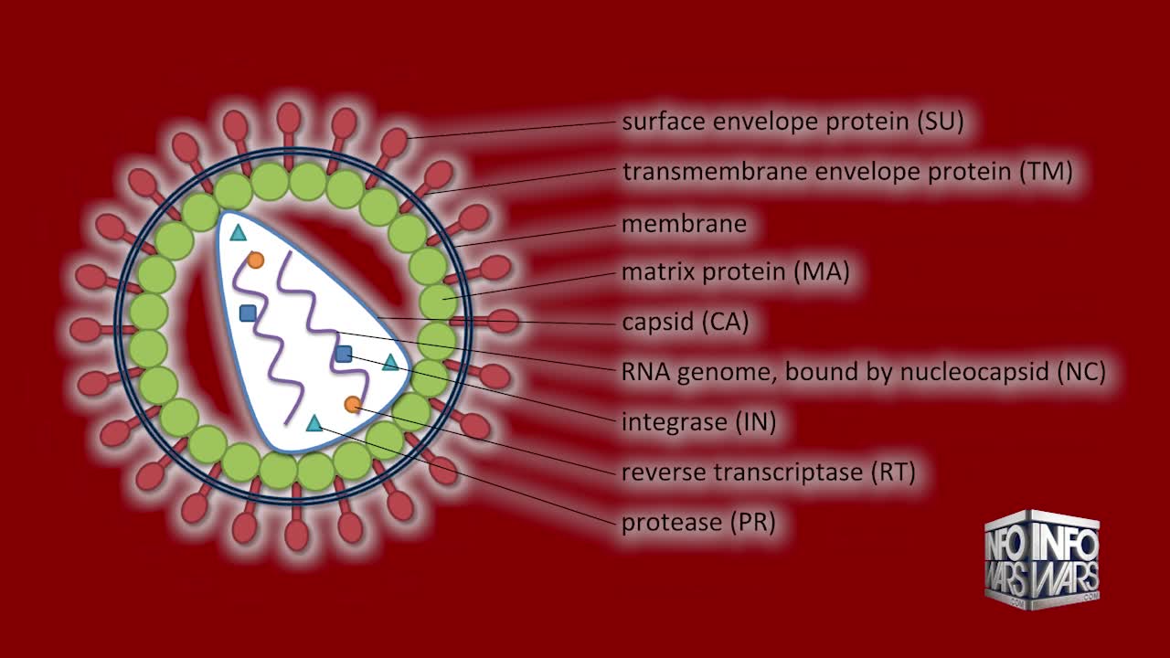 The Lentivirus Apocalypse Is Coming