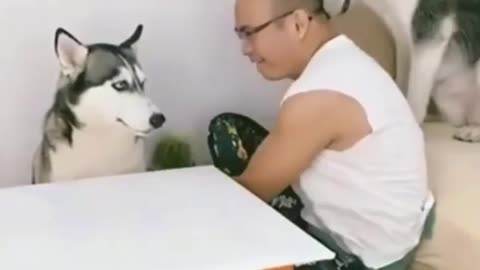 Prank with my Dog but it reverse to me 🤣🤣🤣