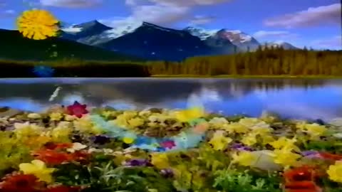 TV2 reklámblokk (1999. augusztus 11.)